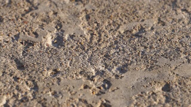 Macro video of rough uneven granite rock surface under bright daylight. Highly detailed geological texture, abstract stone wallpaper, natural material.