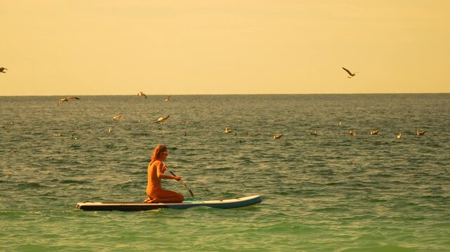 Woman paddling ocean surrounded by seagulls during golden hour summer vacation activity