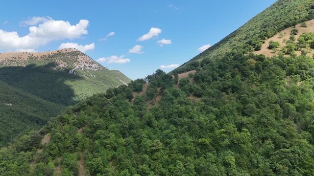 Pendio montano ricoperto da foresta verde con vegetazione fitta, rilievi multipli sullo sfondo e cielo azzurro con nuvole bianche