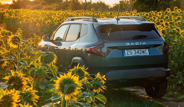The third-generation Dacia Duster outdoors in a field of blooming sunflowers