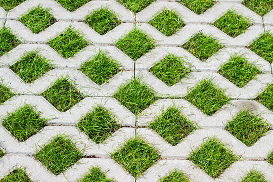 Interlocking concrete pavers with diamond-shaped openings filled with green grass create a unique pattern in a landscaped outdoor area