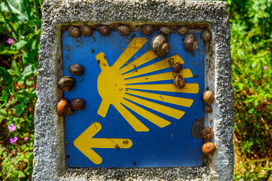 Close up of an official blue and yellow Camino de Santiago sign with snails on a stone milestone along a rural path in Asturias, Northern Spain.