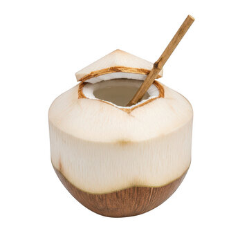 Fresh young coconut water drink vector isolated on transparent background