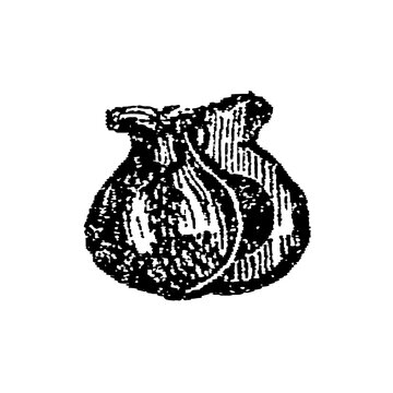 Two castanets with intricate wood grain and cord, old vintage illustration, 1897.