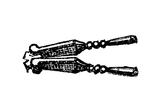 Ornate antique nutcracker tongs with decorative handles, old vintage illustration, 1897.