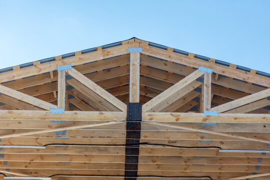 Under construction: A rustic wooden roof frame stands bold against a vibrant