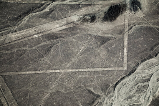 Aerial view of the ancient Nazca Lines geoglyphs etched into the arid desert landscape, featuring intricate geometric patterns and figures on the dry earth in Nazca Province, Ica, Peru.