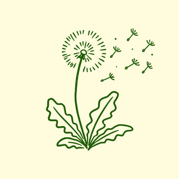 Hand Drawn Dandelion Flower with Blowing Seeds Line Art Vector Illustration