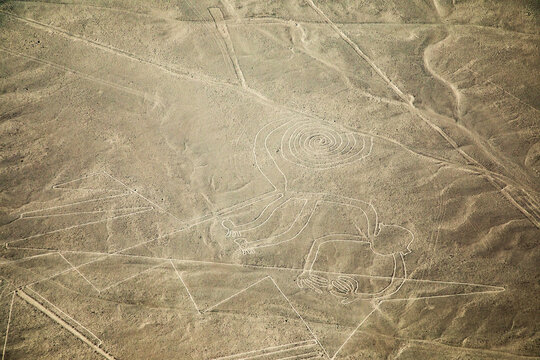 Aerial view of the Nazca Lines monkey geoglyph etched into the arid desert landscape of the Nazca Province, Ica, Peru.