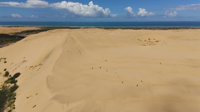 Te-Paki Giant Sand Dunes with people sandboarding by the coast. Aerial
