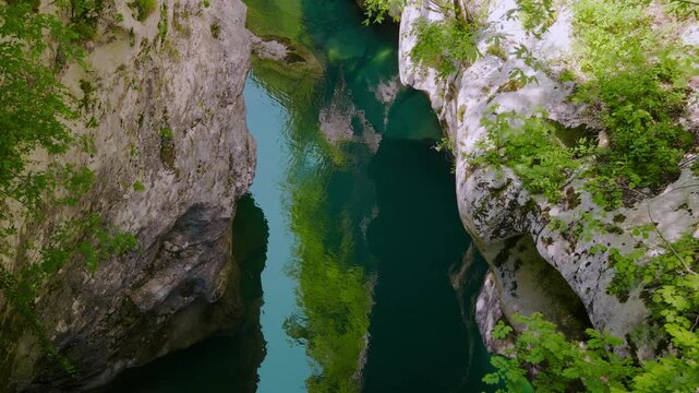 Green summer forest vegetation at Cellina gorge canyon mountain river, clear water, Northern Italy.