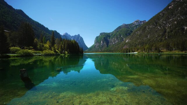 Pristine mountain water of Lake Toblach showing the protected wetland biotope in early summer, Italy