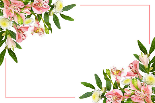 Coral alstroemerias and chrysanthemum flowers in corner floral arrangements with a frame isolated on white or transparent background