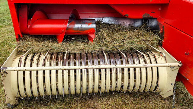 Red baler pickup mechanism gathering dry hay and fodder, showing intricate agricultural machinery working on a farm field during harvest season for animal feed production