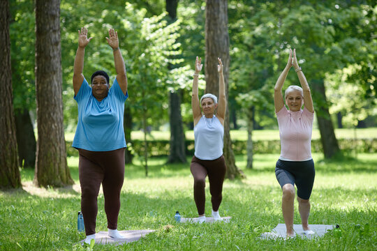 Diverse group of senior and middle aged women practicing yoga in park, promoting active lifestyle and mental wellbeing, suitable for healthcare and wellness marketing campaigns