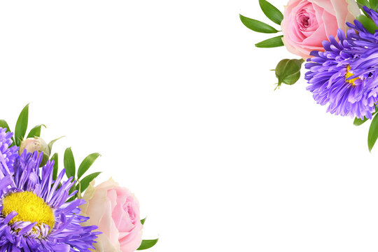 Purple aster flowers and pink roses with eucalyptus green leaves in corner floral arrangements isolated on white or transparent background