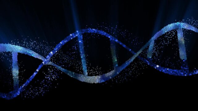 The DNA chain rotates in a helix.This video make a perfect concept for human DNA, microbiology, RNA protein, pharmaceutical health, genetics, stem cell research, healthcare, or the human genome.
