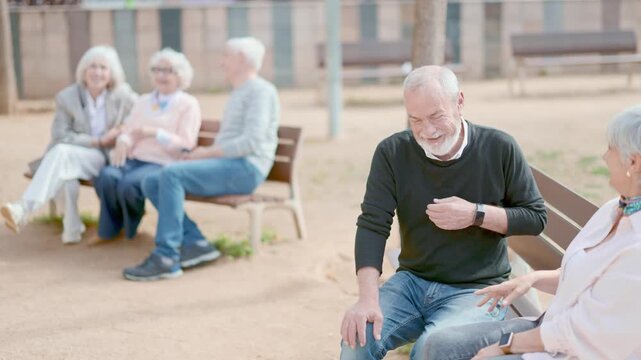 Attempt to meet and find love. Chance encounter between senior strangers in park. Man is trying to get to know woman. Elderly couple sit on bench, flirting, having nice conversation