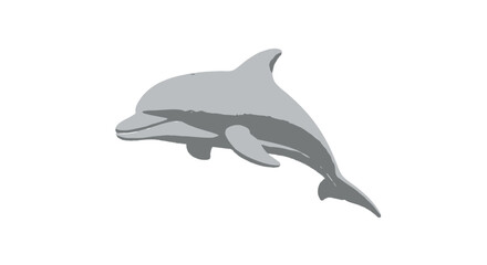 Fototapeta premium Grey dolphin swimming in a dynamic pose