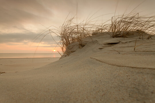 Sunrise on sandy beach with dune grass