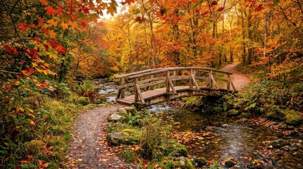 A picturesque wooden footbridge crossing a tranquil stream in a vibrant forest during the beautiful golden autumn season © Sajir