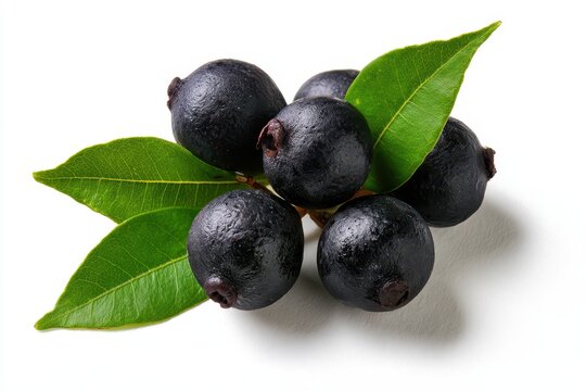 Studio still life of Litsea cubeba berries arranged on white background