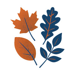 Fototapeta premium PNG Colorful autumn leaves illustration