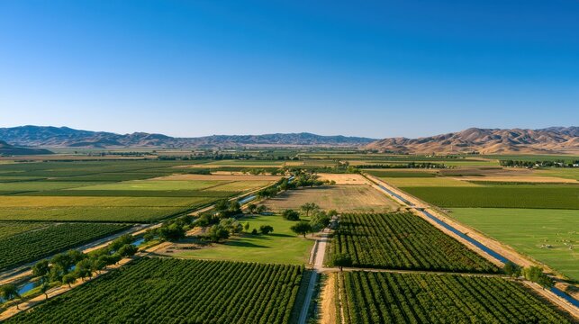 Sunlit agrarian landscape with farming fields and irrigation canals in Tulare County