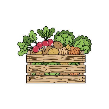 A rustic wooden crate filled with overflowing fresh organic radishes, potatoes, onions, and lettuce on a transparent background, in a 2D vector graphic style conveying wholesome abundance