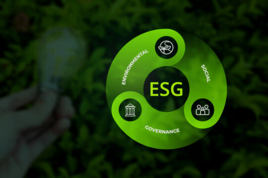Hand Holding Light Bulb next to Circular ESG Graphic Against Green Leaves Background
