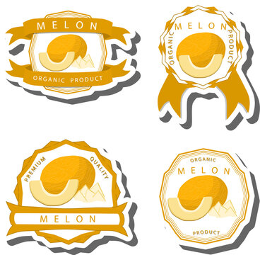 Fruit theme from set juicy delicious melon of various sizes