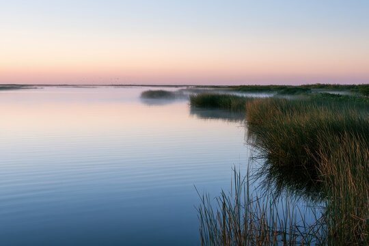 Sunrise over Lake Okeechobee: tranquil water, reed-lined shore, and pastel sky reflections