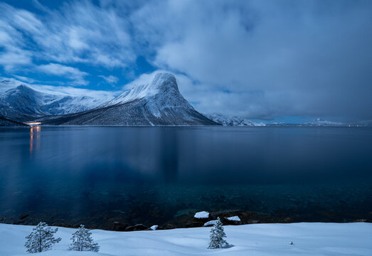 Winter moonlit  Landscape 