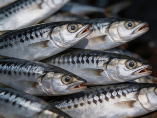 Fototapeta premium Fresh fish with black stripes on display