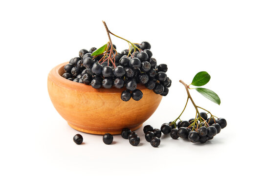 Freshly picked aronia berries in wooden bowl, isolated on a white background.