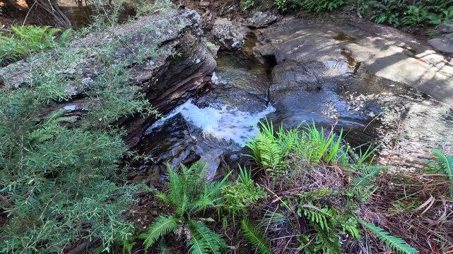Small Waterfall Flowing Over Rocks in Wentworth Falls Forest