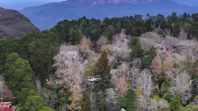 Aerial View of Wentworth Falls Township in the Blue Mountains