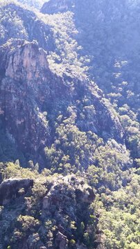Wedge-Tailed Eagle Soaring Over Rugged Cliffs in Warrumbungle National Park