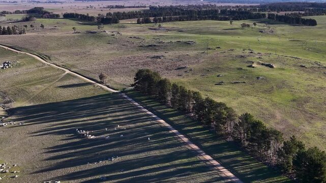 Aerial View of Rolling Green Hills and Dirt Road in Uralla