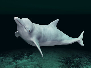 Delfin in einer Unterwasserlandschaft © Michael Rosskothen
