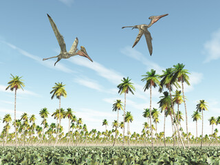 Flugsaurier Pterodactylus und Peteinosaurus über einer Landschaft mit Palmen © Michael Rosskothen