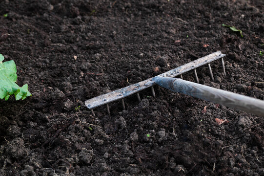 Garden rake on black soil background in farmland, rake leveling ground in garden, rake as gardening tool in field, copy space