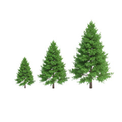 Obraz premium Three coniferous trees of varying size arranged in an equidistant row against a white background, featuring lush emerald foliage and soft shadows, minimalist design