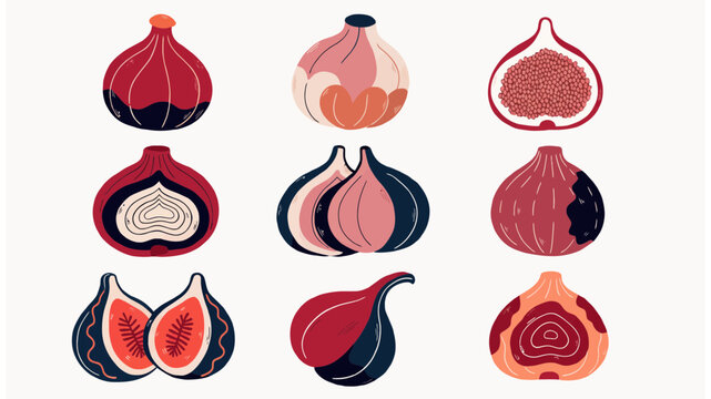 Elegant Hand drawn Figs Collection for Healthy Eating Graphics