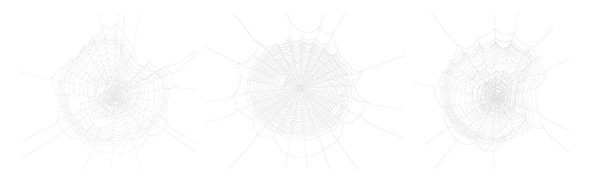 Set of white spider webs on transparent background.