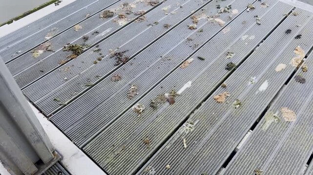 Close-up of a dirty floating dock by the water, with bird droppings, debris, grey metal decking and rippling lake surface in the background.