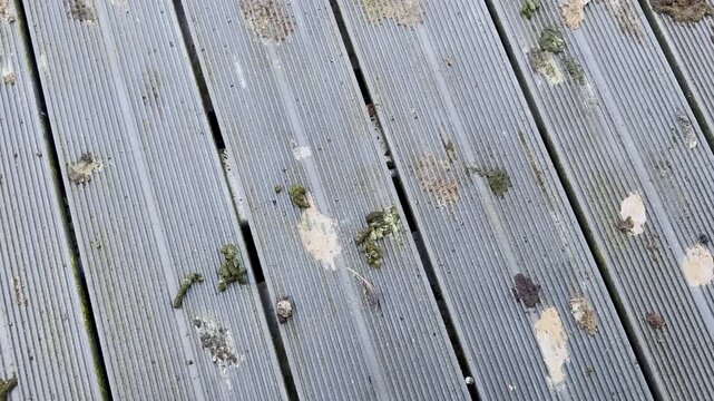 Close-up of dirty grey metal platform decking with bird droppings and debris, showing ribbed texture, gaps between boards and outdoor waterfront maintenance detail.