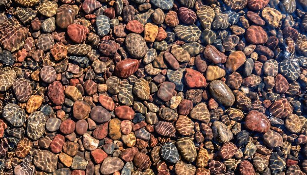 Top down view of various smooth colorful round river pebbles submerged in shallow water