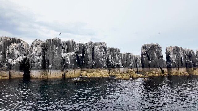 Dramatic sea cliffs of the Farne Islands, home to a large colony of seabirds nesting on the rocks