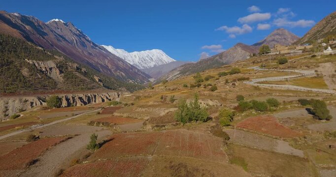 Annapurna Circuit, Manang, Nepal, forward-gliding drone shot over terraced agricultural fields and a rural road leading toward Tilicho Peak and the Marsyangdi Gorge.